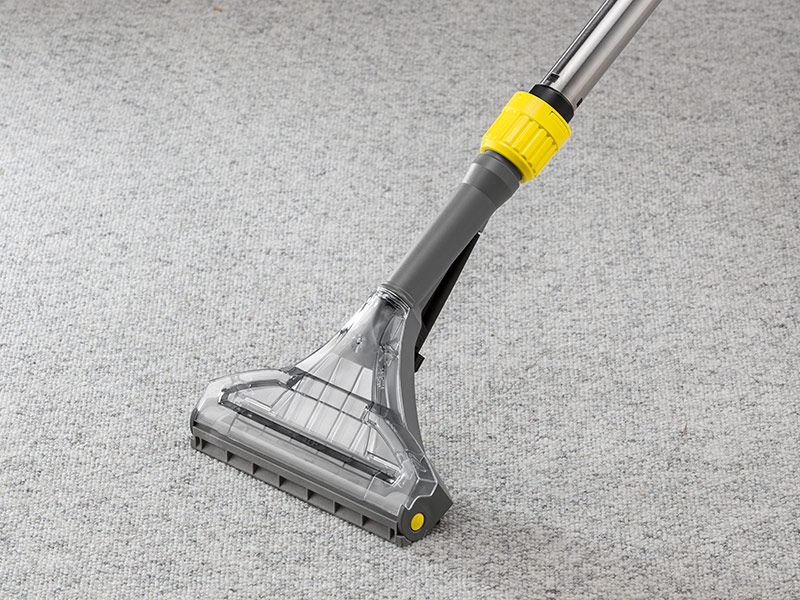 Karcher для чистки диванов