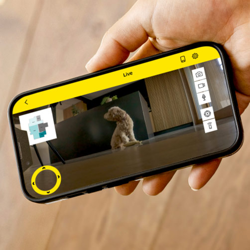 Веб-камера с удаленным доступом